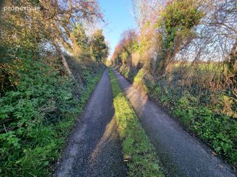 Cloonoughter, Gillogue, Parteen, Co. Clare - Image 5