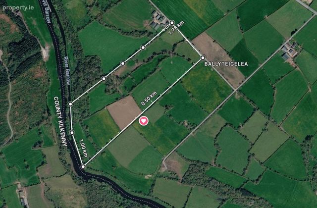 Ballyteiglea, Borris, Co. Carlow - Click to view photos