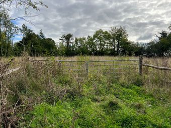 Kyle, Cuffesgrange, Co. Kilkenny - Image 3
