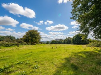 Ruins On C. 6.12 Acres / 2.48 Hectares, Killmoat Upper, Rathdangan, Co. Wicklow - Image 5