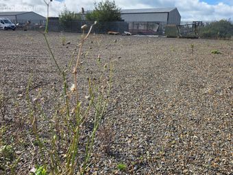Athlone Road, Longford, Longford Town, Carrowrory, Co. Longford - Image 3