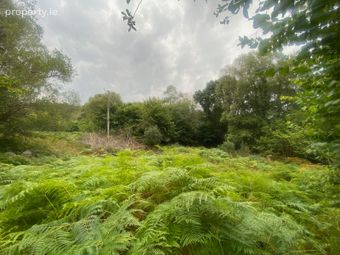 Annagh Beg, Glenflesk, Killarney, Co. Kerry - Image 4