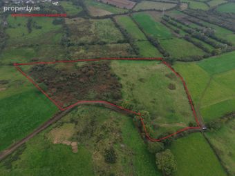 Mountneill, Carrigeen, Co. Kilkenny - Image 2