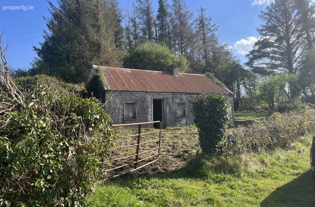 Glennamucka , Gurteen , Ballinasloe, Co. Galway, Gurteen, Co. Galway - Click to view photos