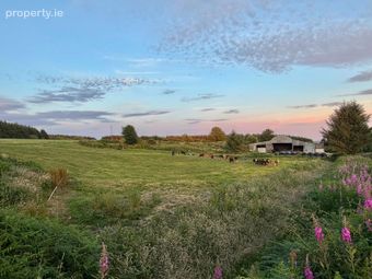 Ballylehane Upper, Wolfhill, Co. Laois - Image 4