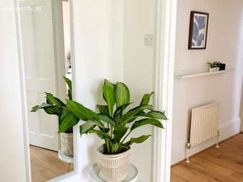 Palmerston Road, Dublin 6, Rathmines, Dublin 6 - Image 3