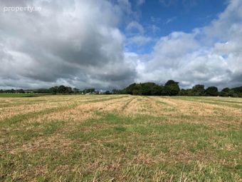 Ballycapplewood, Bantis, Cloughjordan, Nenagh, Co. Tipperary, The Pike, Co. Tipperary - Image 3