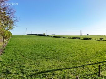 Wood Of O, Tullamore, Co. Offaly, Derrygrogan, Co. Offaly - Image 2