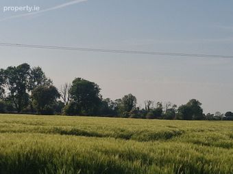 Garrymore, Ballymacward, Ballinasloe, Co. Galway, Gurteen, Co. Galway