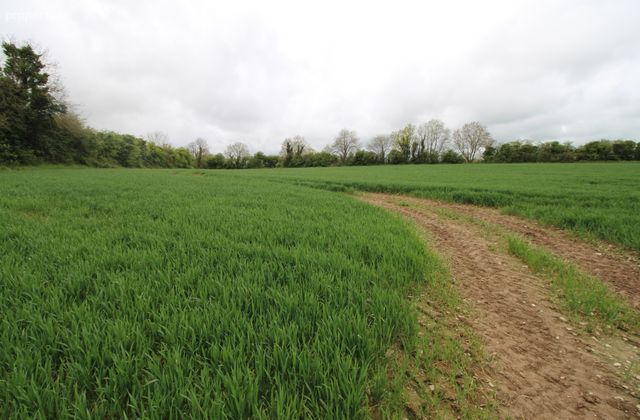 Rochestown, Slane, Co. Meath - Click to view photos