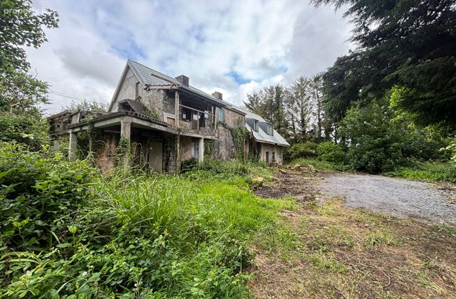 Lissooleen, Kielduff, Ballymacelligott, Co. Kerry - Click to view photos