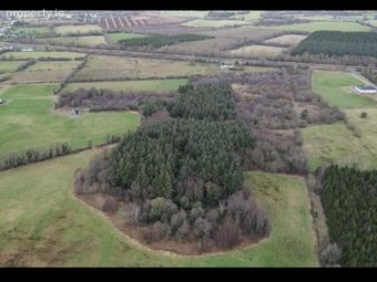 Gallen, Ferbane, Co. Offaly - Image 2