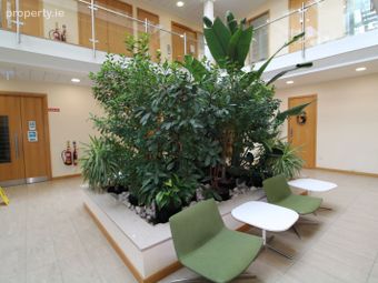 Suite 14, Plaza 256, Blanchardstown Corporate Park 2, Blanchardstown, Dublin 15 - Image 4