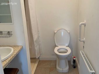 Portlaoise Road, Graiguecullen, Co. Laois - Image 4