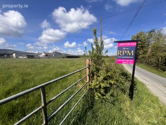 Ballagh, Raheenagh, Newcastle West, Co. Limerick, Newcastle West, Co. Limerick - Image 4