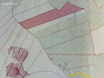 Reaskcamoge, Cratloe, Co. Clare