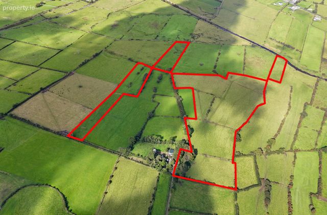 112 Acres At Lehid &amp; Kilcreevanty, Tuam, Co. Galway, Mullagh, Co. Galway - Click to view photos