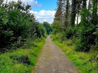 Mote Park, Ballymurray, Co. Roscommon - Image 5
