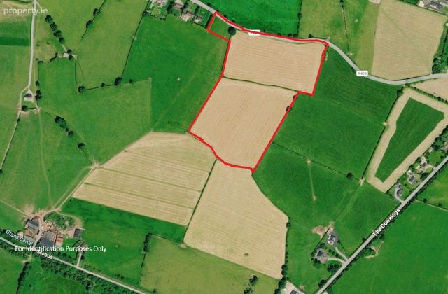 Lands Downings South, Prosperous, Co. Kildare - Click to view photos