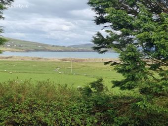 Corby Sands, Emlaghslat, Ventry, Dingle, Co. Kerry - Image 3