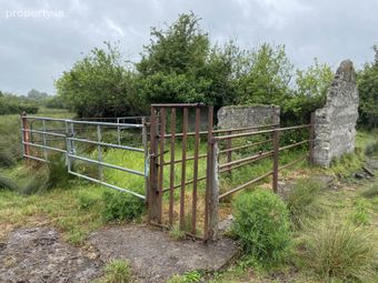 Cloghadoolarty North, Carnane, Fedamore, Limerick, Co. Limerick, Ballyneety, Co. Limerick - Image 5