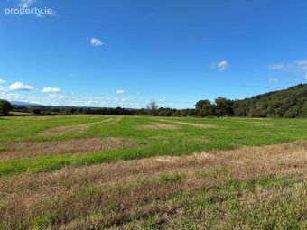 Killurney, E91 T680, Clonmel, Co. Tipperary - Image 4