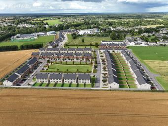 Alder, Rathangan, Co. Kildare - Image 3