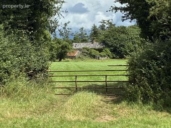 Farmhouse On 9.1 Acres, Kilmog, Kilkenny, Cuffesgrange, Co. Kilkenny - Image 2