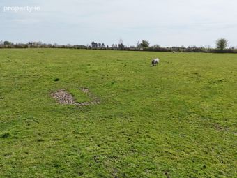 Brackloon, Midfield, Swinford, Co. Mayo, Swinford, Co. Mayo - Image 5