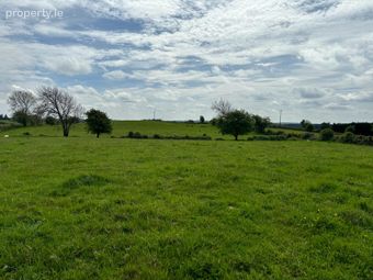C. 48 Acres In Mountain Forthill, Ballyhaunis, Co. Mayo - Image 4