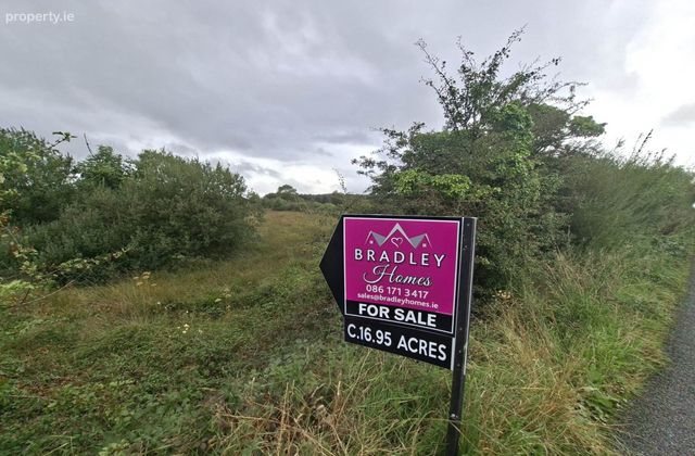 C. 28.89 Acres, Cuilmore, Gurteen, Co. Sligo, Gurteen, Co. Sligo - Click to view photos