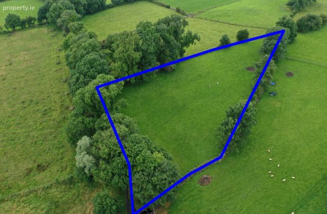 C. 1.25 Aces At, Lisnagavragh, Four Roads, Co. Roscommon, Four Roads, Co. Roscommon - Click to view photos
