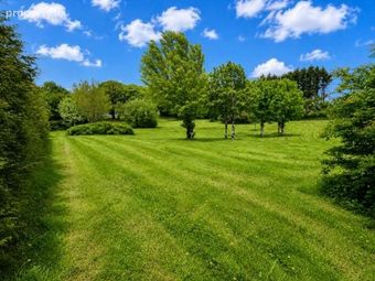 Ryehill, Monivea, Co. Galway - Image 5