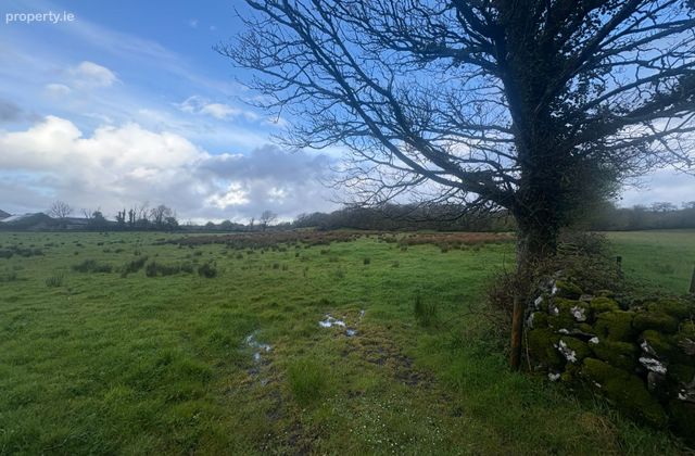 Ballykeel South, Kilfenora, Co. Clare - Click to view photos