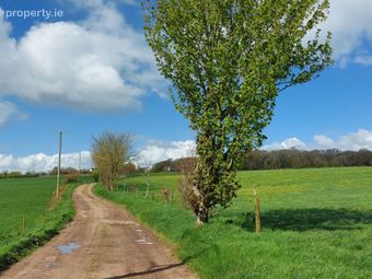 Carrigeen, Conna, Co. Cork - Image 3