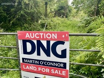 Rinneen, Moycullen, Co Galway, Moycullen, Co. Galway - Image 3