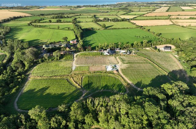 Fairy Trees Winery, Willistown, Drumcar, Co. Louth - Click to view photos