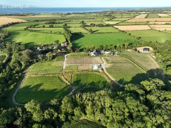 Fairy Trees Winery, Willistown, Drumcar, Co. Louth