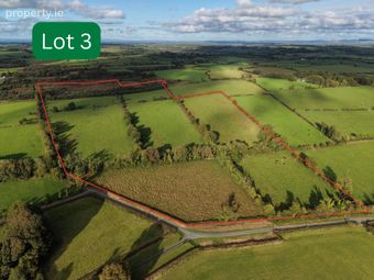 Highlake, Ballymacurley, Co. Roscommon - Image 5