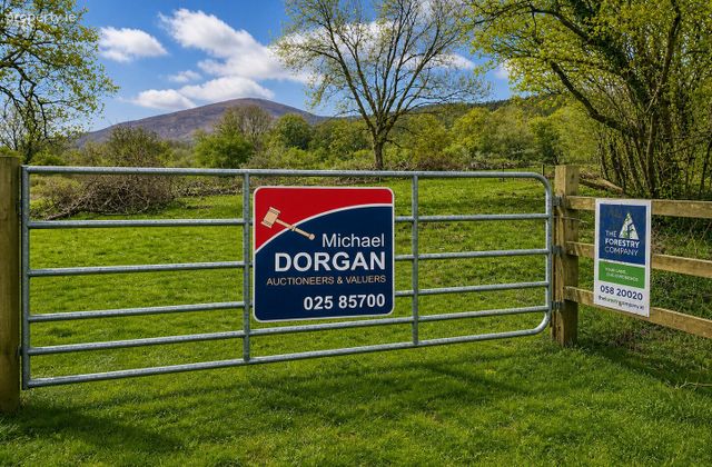C.53 Acres Forrest, Rearoe, Clogheen Near, Mitchelstown, Co. Cork - Click to view photos