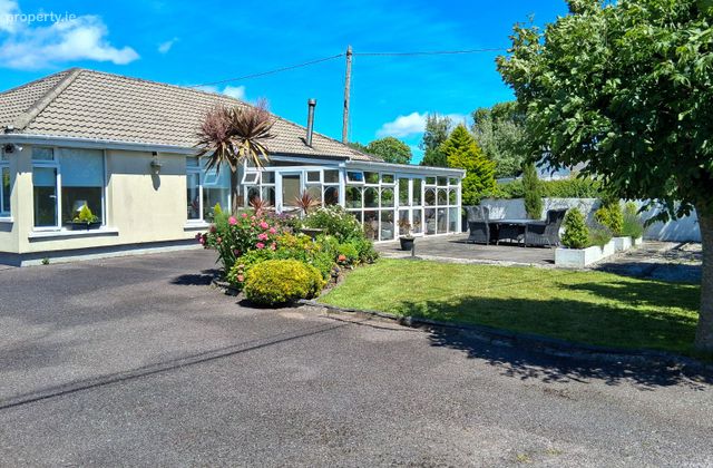 Beanfield, Youghal, Gortaroo, Co. Cork - Click to view photos