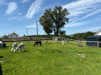 Cloonmaul, Loughglynn, Co. Roscommon - Image 5