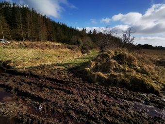 Cuildoo, Killasser, Swinford, Co. Mayo, Swinford, Co. Mayo - Image 5