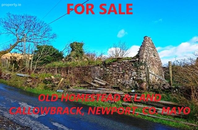 Callowbrack, Newport, Co. Mayo - Click to view photos