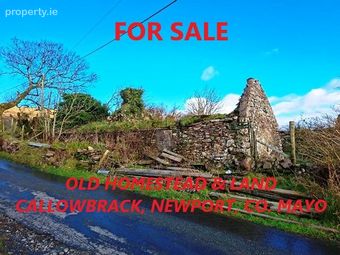 Callowbrack, Newport, Co. Mayo