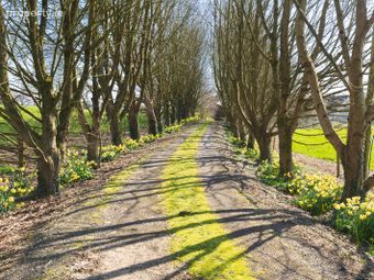 Staffa, Ballyannan, Midleton, Co. Cork - Image 5