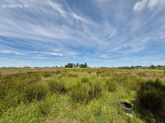 Brierfield Burke, Moylough, Ballinasloe, Co. Galway, Moylough, Co. Galway - Image 2