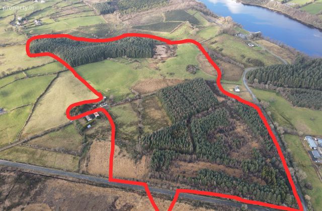 C.51.89 Acres At Derreenamackaun, Loughglynn, Carrowbehy, Co. Roscommon - Click to view photos