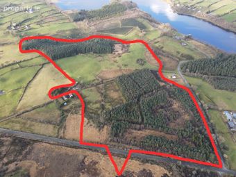 C.51.89 Acres At Derreenamackaun, Loughglynn, Carrowbehy, Co. Roscommon