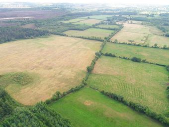 Lurgoe, Killenaule, Co. Tipperary - Image 5